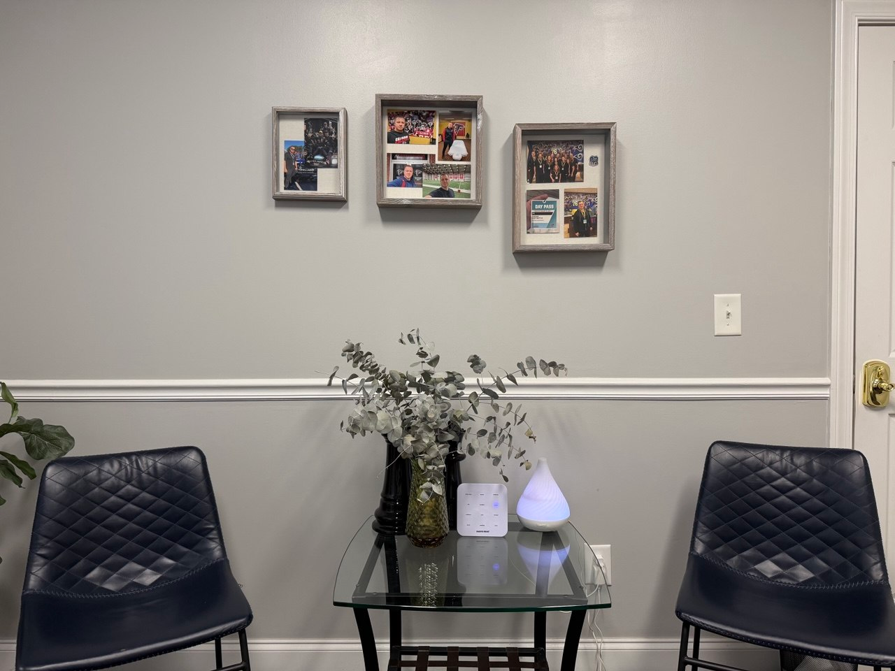 Two chairs, plants and framed sports photographs in the studio